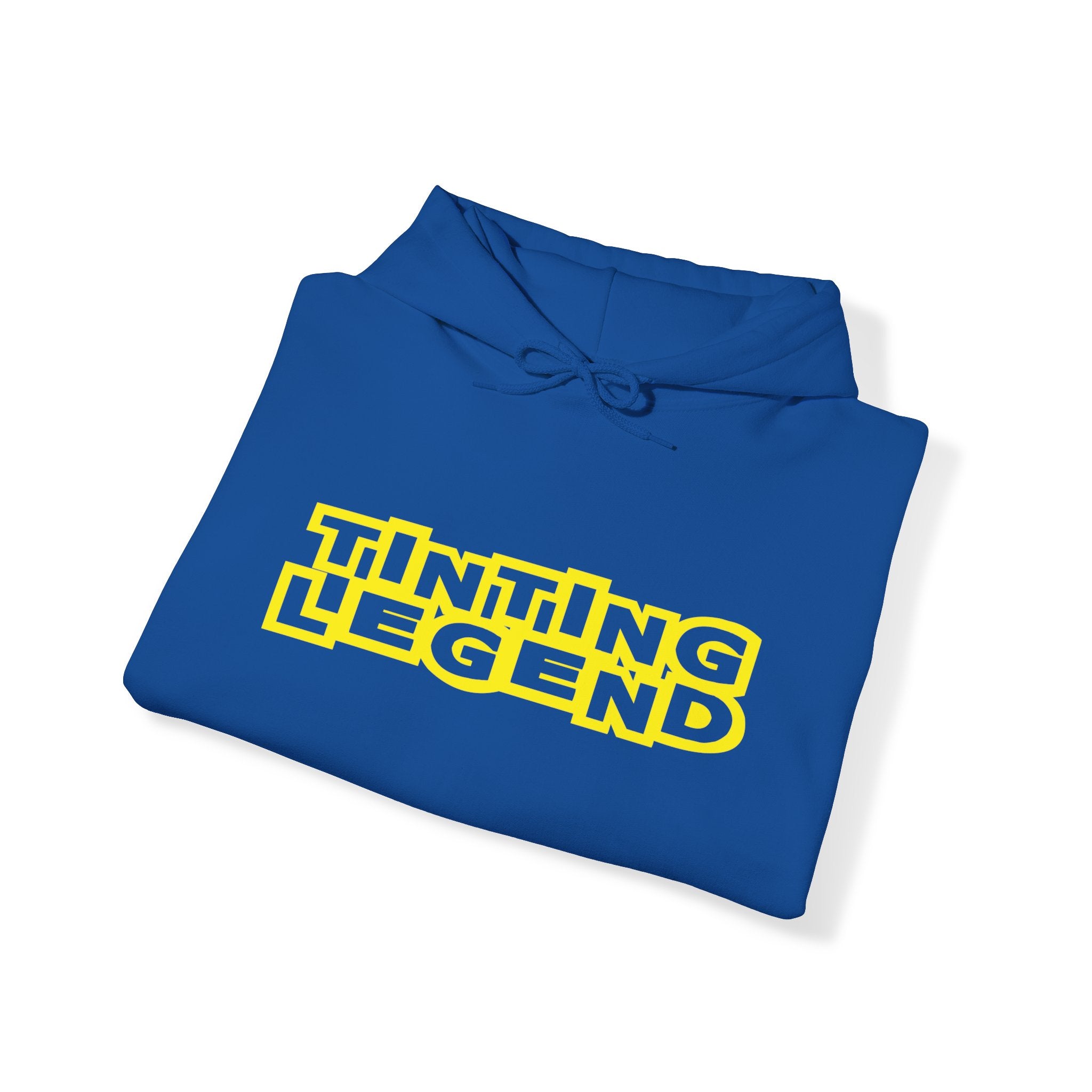 Tinting Legend Block Hoodie