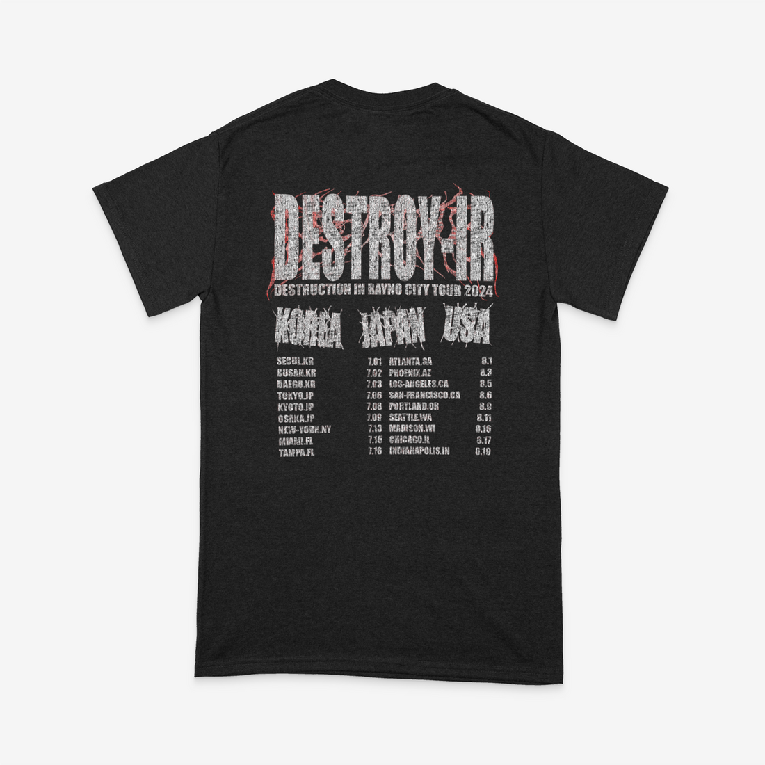 Destroy IR Rayno City Tour T-Shirt