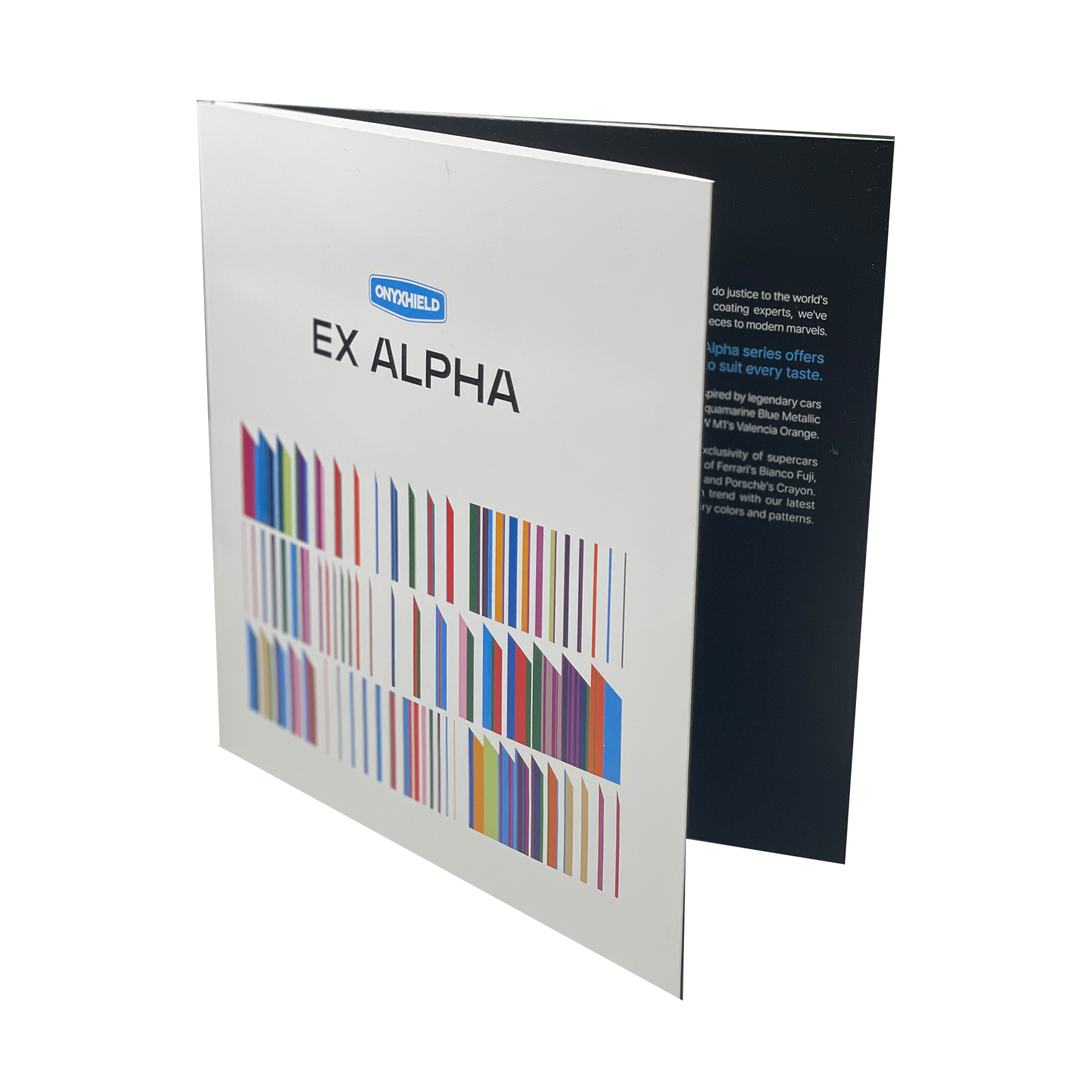 Rayno Onyxhield Sample Brochure